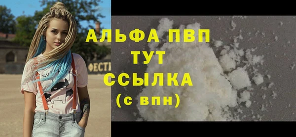 прущие грибы Костерёво