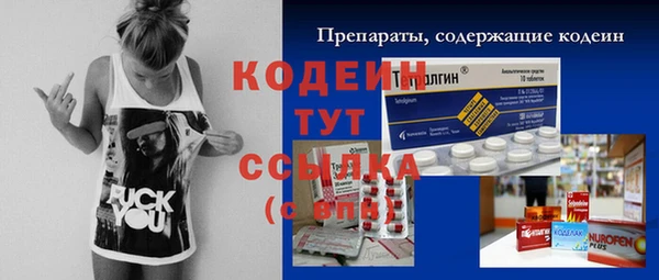 прущие грибы Костерёво