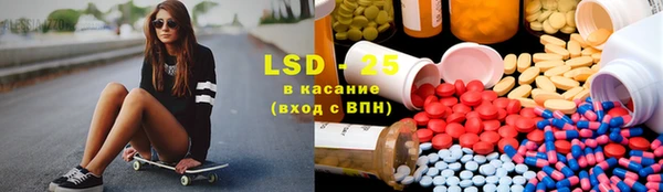 прущие грибы Костерёво