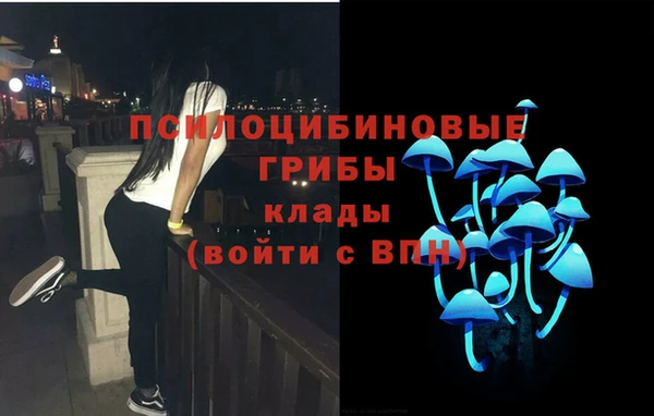 круглые Коряжма