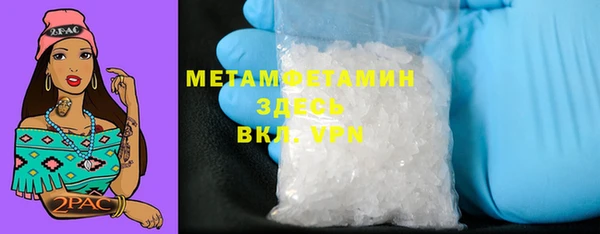 прущие грибы Костерёво