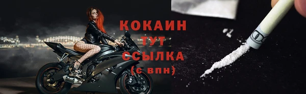 прущие грибы Костерёво